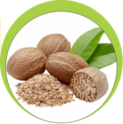 Whole Nutmeg (Jaifal) – Aromatic & Warm